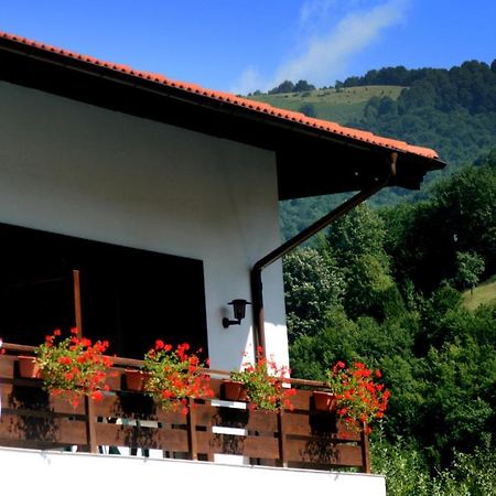 Spa Hotel Planinata Ribarica Δωμάτιο φωτογραφία