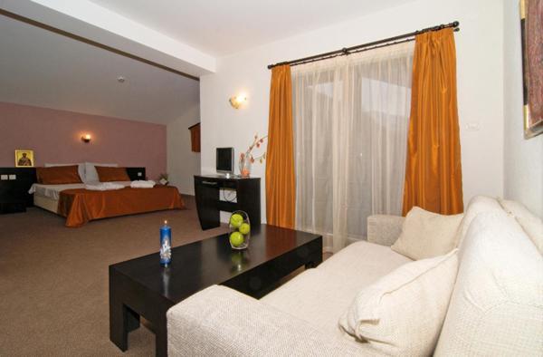 Spa Hotel Planinata Ribarica Δωμάτιο φωτογραφία