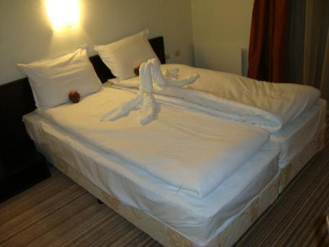 Spa Hotel Planinata Ribarica Δωμάτιο φωτογραφία